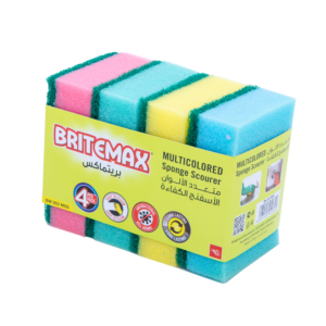 MULTICOLORED SEAWEED SPONGE BM263