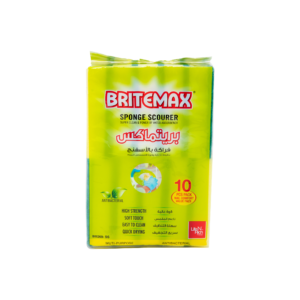SPONGE SCOURER BM269